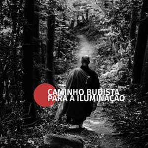 Caminho Budista para a Iluminação: Paz Interior, Cura Do Chakra, Momentos De Meditação - Academia de Meditação Buddha