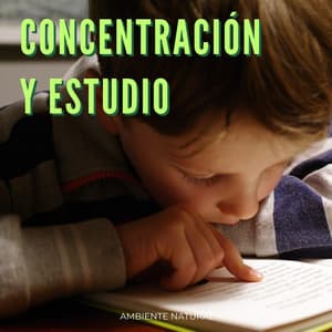 Concentración Y Estudio: Ambiente Natural - Ruido de la naturaleza
