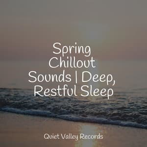 Spring Chillout Sounds | Deep, Restful Sleep - Serenity Spa Music Relaxation