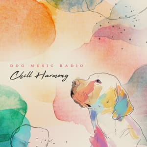 Chill Harmony - Dog Music Radio
