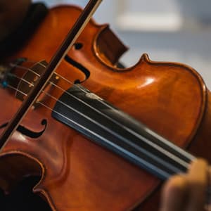 Peaceful Pups: Orchestra Serenades for Restful Dogs - Jason Humphries