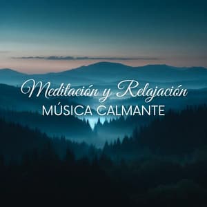 Meditación y Relajación: Música Calmante para Conciliar el Sueño, Apaciguar la Mente y Relax, Respiración Profunda - Attrape-rêves oasis