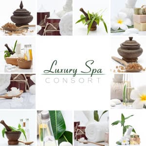 Luxury Spa Consort - Serenity Spa Music Zone