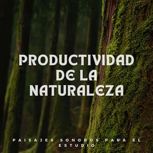Productividad de la Naturaleza: Paisajes Sonoros para el Estudio - Naturaleza Calma