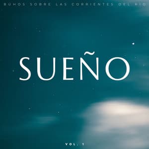 Sueño: Búhos Sobre Las Corrientes Del Río Vol. 1 - Sonidos de agua para dormir