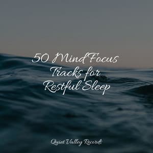 50 Mind Focus Tracks for Restful Sleep - Rain Hard