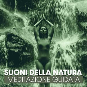 Suoni della natura: Meditazione Guidata, Mindfulness, Rilassanti per dormire, Musica curativa - Suoni naturali zen
