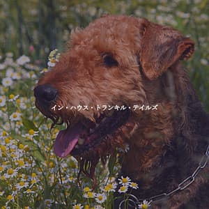 イン・ハウス・トランキル・テイルズ - Smooth Jazz Deluxe