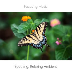 Soothing, Relaxing Ambient. Learning Music. Reading Music. Background Music. - Focusing Music