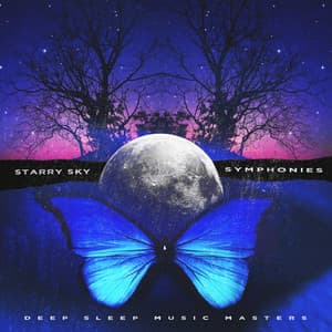 Starry Sky Symphonies - Deep Sleep Music Masters