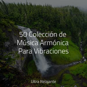 50 Colección de Música Armónica Para Vibraciones - Meditação Maestro