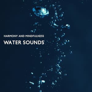 Harmony and Mindfulness: Water Sounds for Sleep, Land of Deep Relaxation - Calming Waters Consort