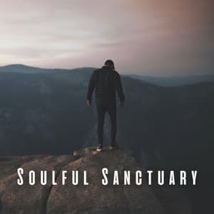 Soulful Sanctuary: Meditation Music for Relaxation Rhythms - Chakra Cleansing Music Sanctuary
