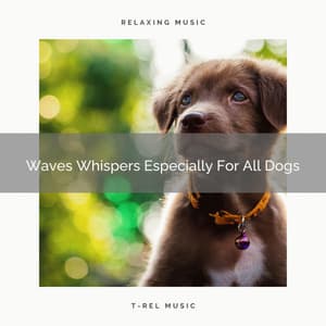 Waves Whispers Especially For All Dogs - Dog Relax