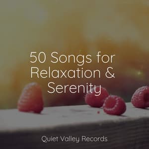50 Songs for Relaxation & Serenity - Sleep Songs with Nature Sounds