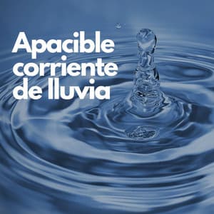 La apacible corriente de lluvia - Naturaleza Calma