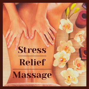 Stress Relief Massage: Relaxing Piano Music to Relax Body and Mind - Massage Music