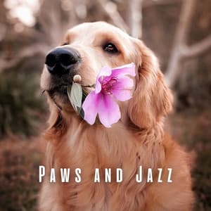 Paws and Jazz: Coffee Shop Lounge Tunes for Dogs - Chillout Jazz Collective