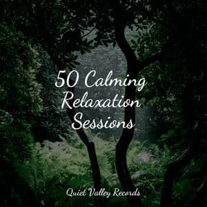 50 Calming Relaxation Sessions - Deep Horizon Waves