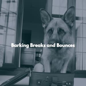 Barking Breaks and Bounces - New Orleans Jazz Playlist