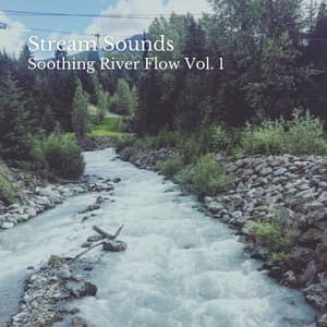 Stream Sounds: Soothing River Flow Vol. 1 - Calm Music Guru