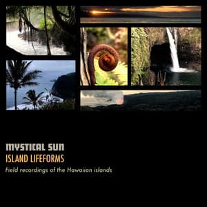 Island Lifeforms - Mystical Sun