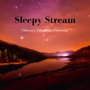 Sleepy Stream: Nature's Nighttime Harmony - Sleepy Side