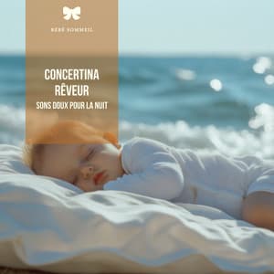 Concertina rêveur: Sons doux pour la nuit - Bébé Sommeil