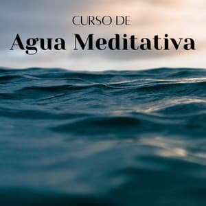 Curso De Agua Meditativa - Paisajes sonoros de roca de agua