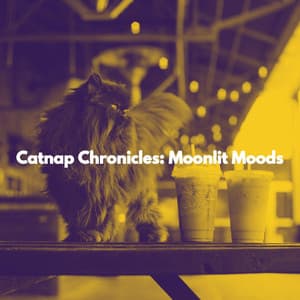 Catnap Chronicles: Moonlit Moods - Soothing Cat Music