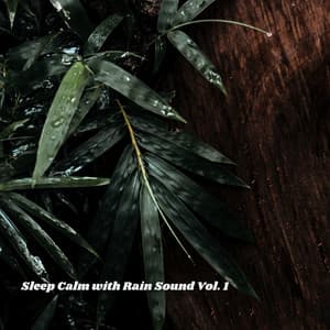 Sleep Calm with Rain Sound Vol. 1 - Sleep Repeat