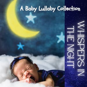 Whispers in the Night – A Baby Lullaby Collection - Insomnia Music Universe