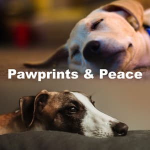 Pawprints & Peace - Dog Music Radio
