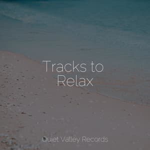 Tracks to Relax - Rain Storm Sample Library