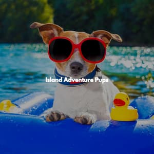 Island Adventure Pups - Elevator Jazz Music