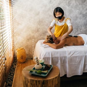 Healing Harmonies for Body Massage - Cheerful Soundtracks