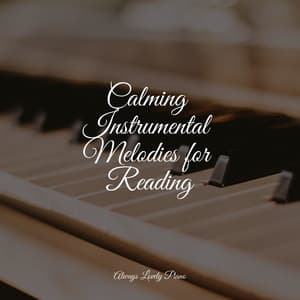 50 Piano Classics for Stress Relief - Soothing Piano Collective