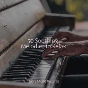 50 Soothing Melodies to Relax - Ivory Mood