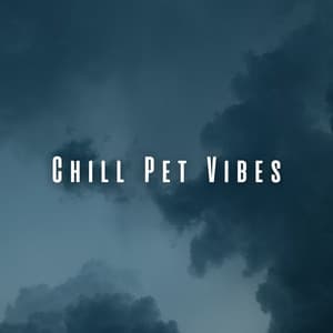 Chill Pet Vibes: Rainy Day Serenade with Chill Music - Danny Rainsounds