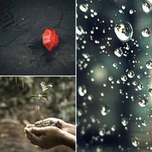 Number One Bgm for Cool May Nights - Jazz Lounge Music Club Chicago