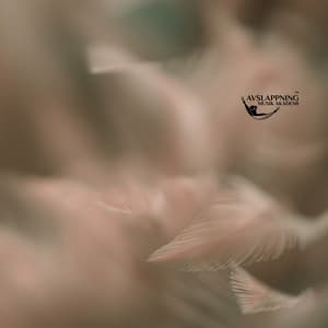 Dimmornas Dans - Avslappning Musik Akademi