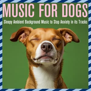 Music for Dogs: Sleepy Ambient Background Music to Stop Anxiety in its Tracks - Dog Music Dreams