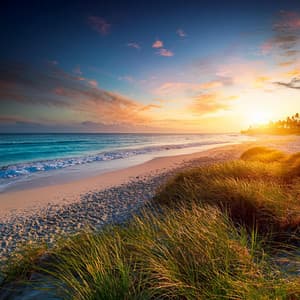 Relajación Tranquila: Sonidos Lofi - Transmisión de calma