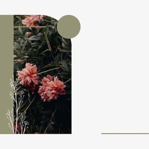 Bright Bgm for Rejuvenating Seasons - Jazz Vibe Duo