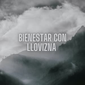 Bienestar Con Llovizna - Fabricantes de lluvia suave