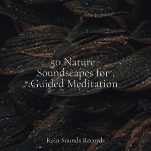50 Nature Soundscapes for Guided Meditation - Sea Waves Sounds