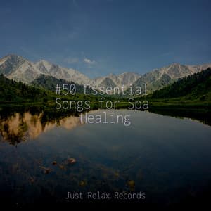 #50 Essential Songs for Spa Healing - Yoga Namaste