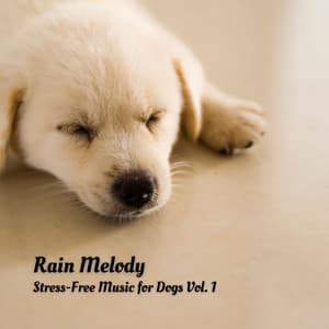 Rain Melody: Stress-Free Music for Dogs Vol. 1 - Calm Pets Music Academy