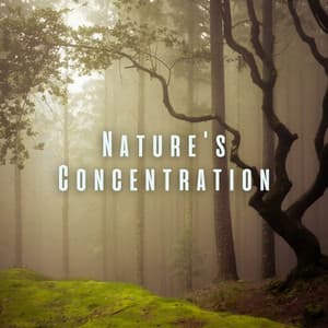 Nature's Concentration: Binaural Sounds for Mental Sharpness - Epic Nature Sounds