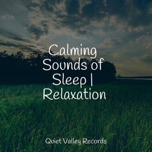 Calming Sounds of Sleep | Relaxation - Sound Sleeping